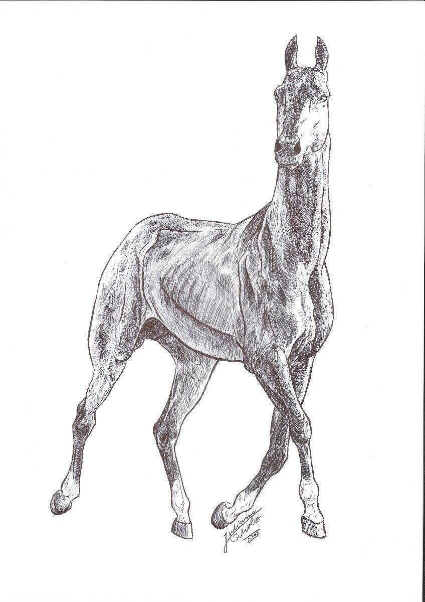 Wüstenwesen (Pferd) A4 Kugelschreiber auf Papier