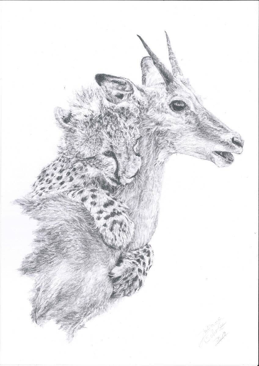 Ich will doch nur spielen (Gepard mit Gazelle) A4 Bleistift auf Papier